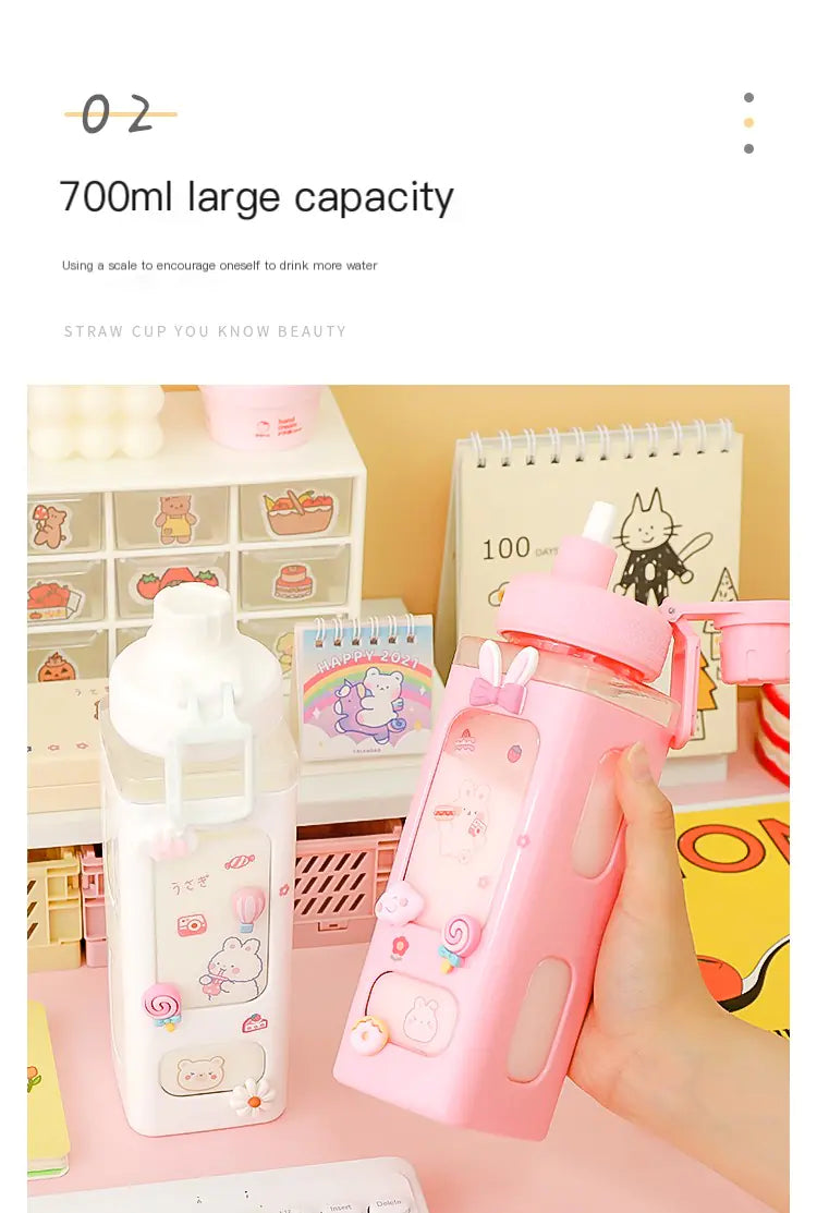 Cute Plastic Straw Sports Cup