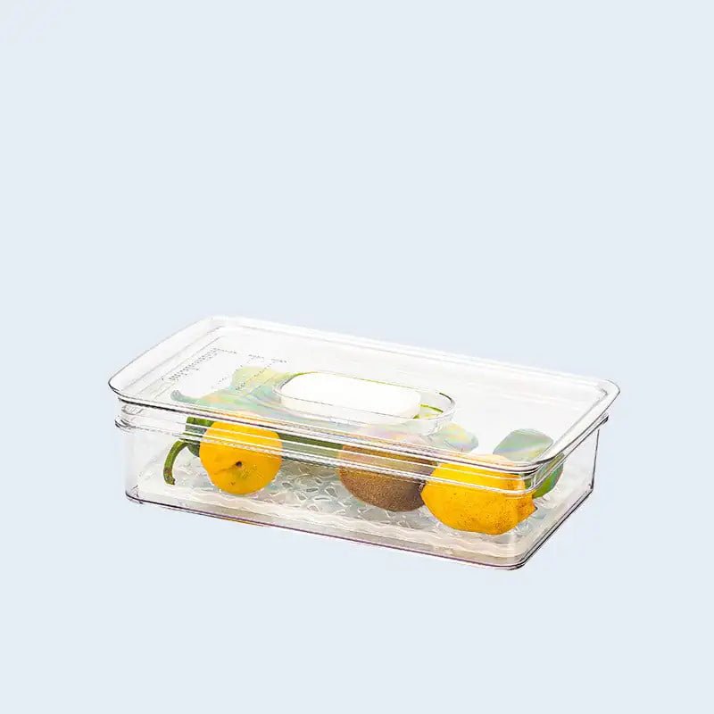 Transparent Refrigerator Food Storage Box for Dumplings - Lunqara