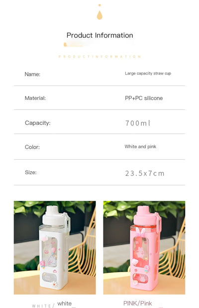 Cute Plastic Straw Sports Cup