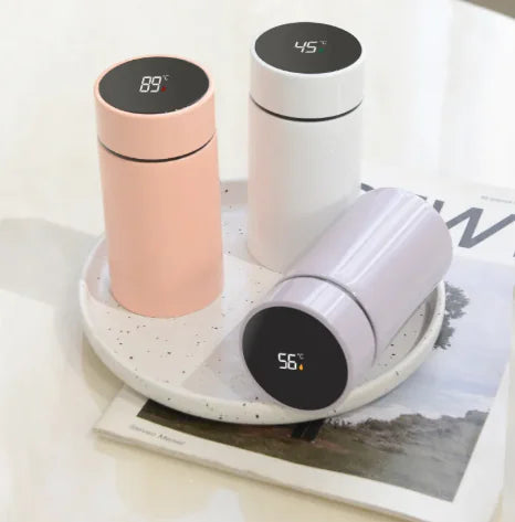 304 Stainless Steel Insulated Cup - Lunqara 