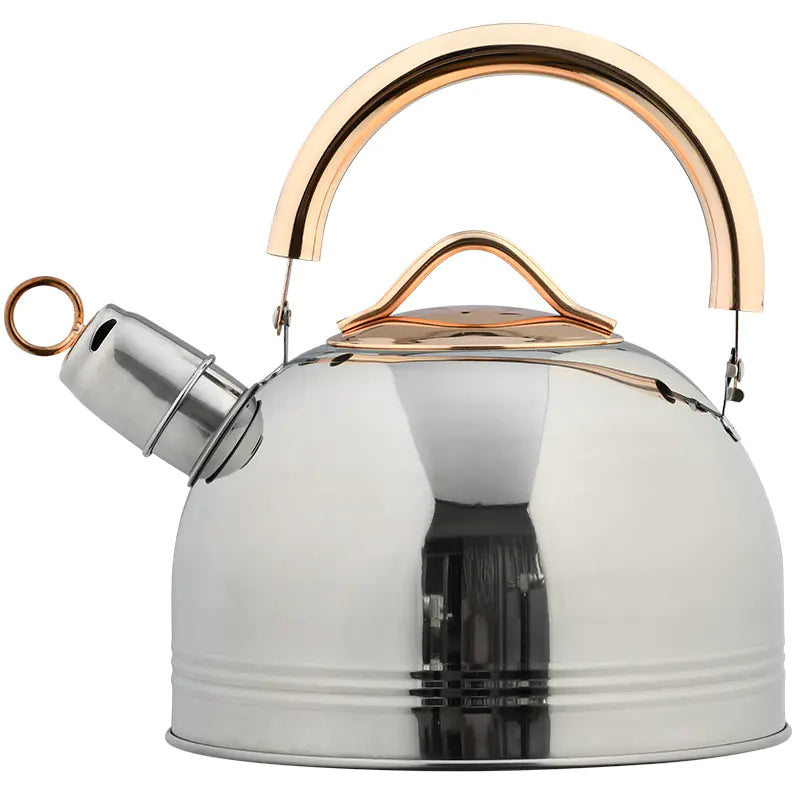 Stainless Steel Whistling Kettle with Golden Handle