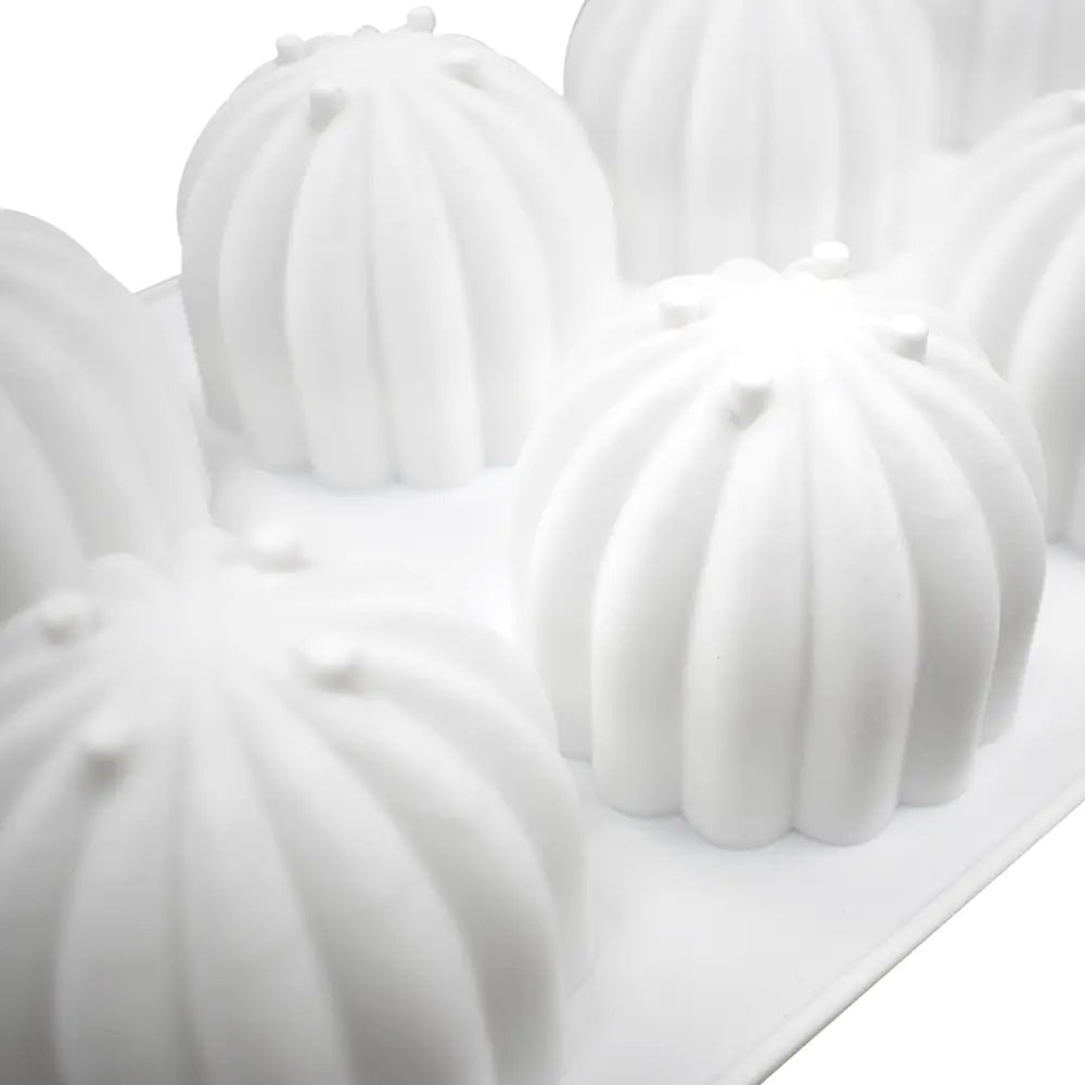 Mousse Cake Mold with 8 Cactus Silicone Molds