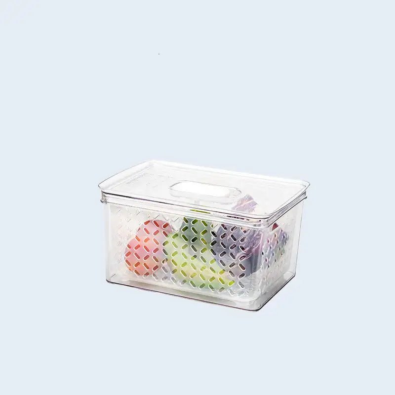 Transparent Refrigerator Food Storage Box for Dumplings - Lunqara